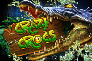 Crazy Crocs